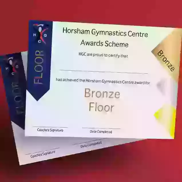 HGC Award Floor Bronze Certificate & Medal